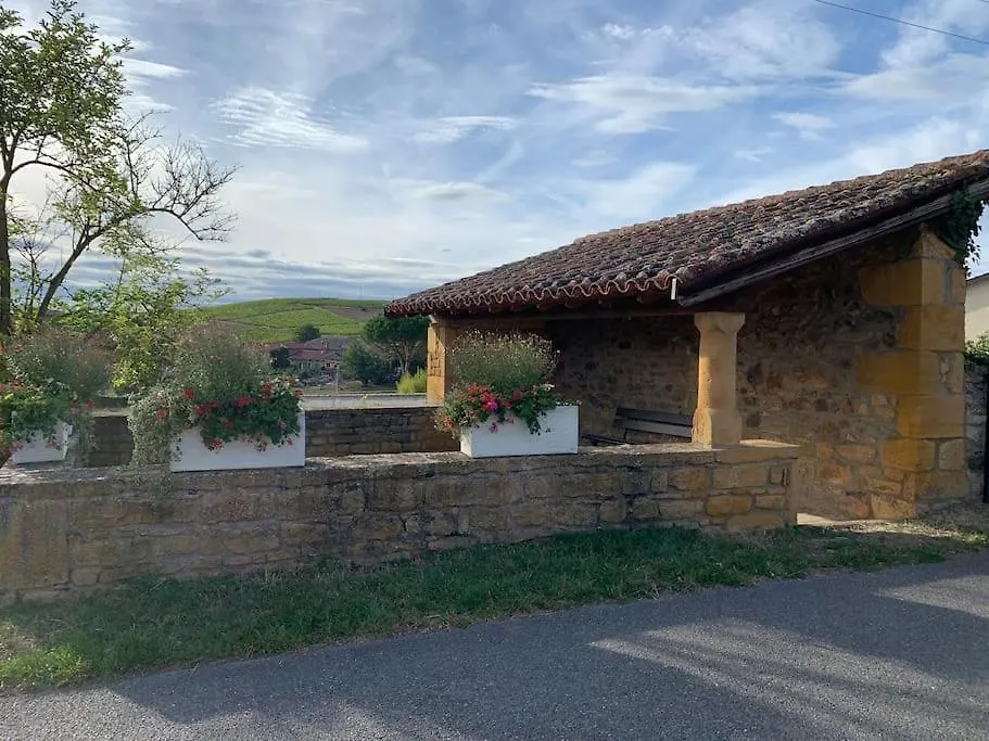 Les Sarments Du Beaujolais, Calme Proche Lyon Villa Sarcey Holiday home